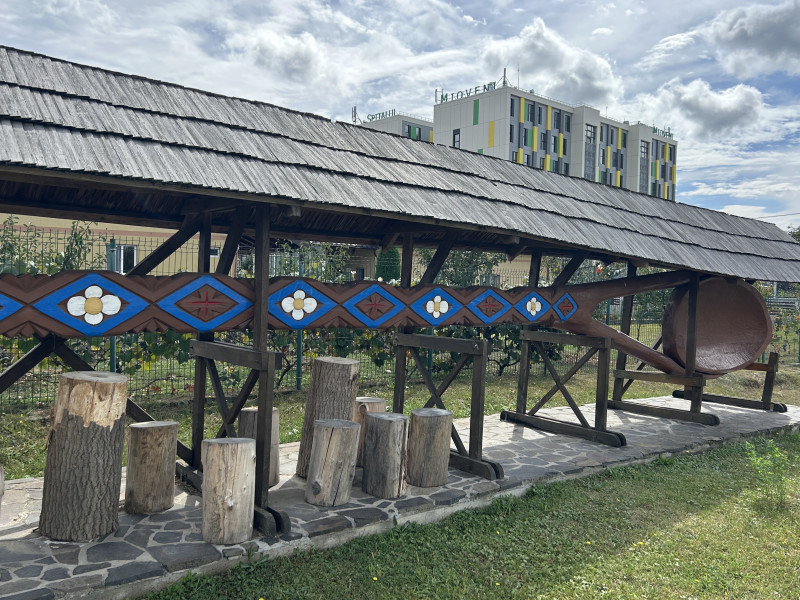 Cea mai mare lingură de lemn din lume - chiar în orașul nostru!