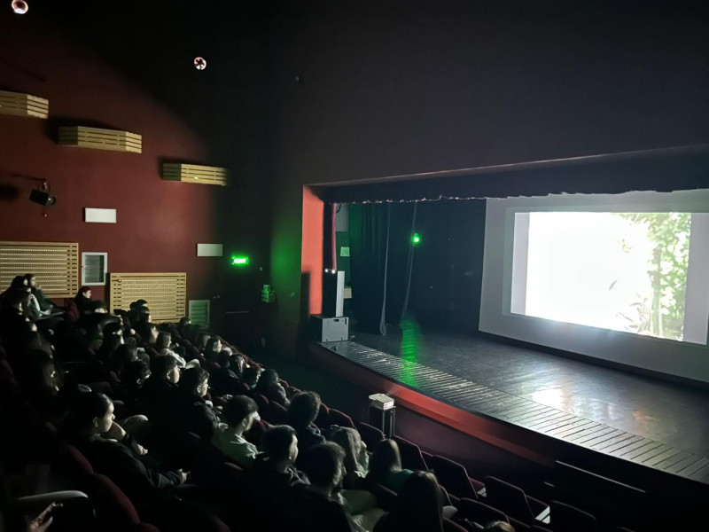 Proiecție de film - Liceenii