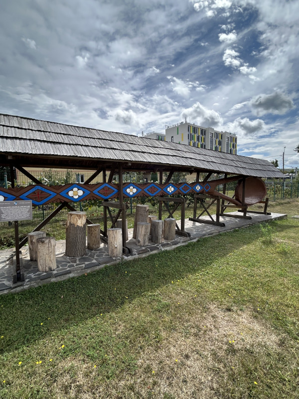 Cea mai mare lingură de lemn din lume - chiar în orașul nostru!