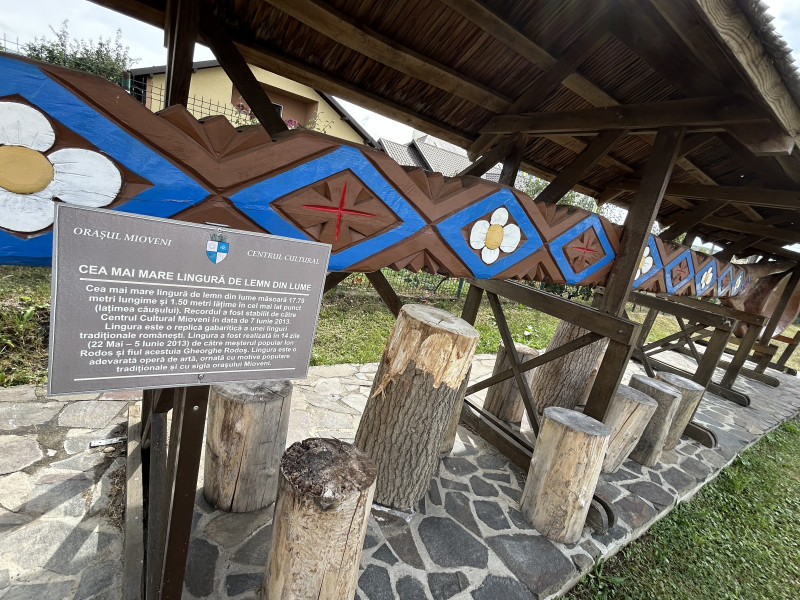 Cea mai mare lingură de lemn din lume - chiar în orașul nostru!